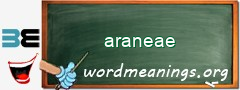 WordMeaning blackboard for araneae